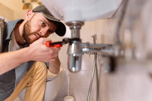 Best Local Plumber Services  in Colfax, IL